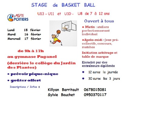 stage mini basket 2016